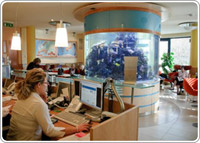 dentistes hongrie